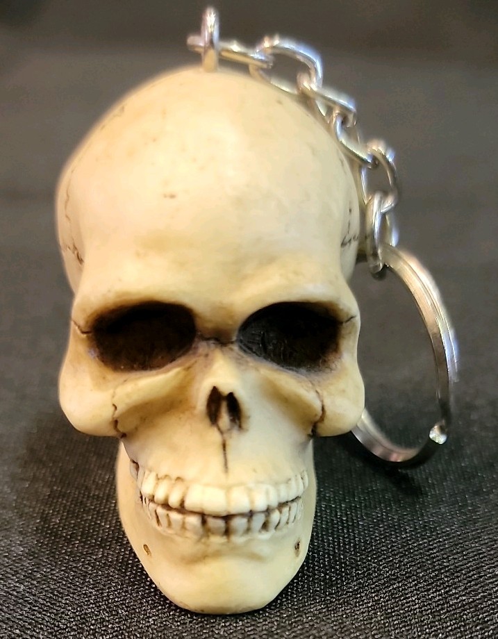 10 Piece Skull Lot