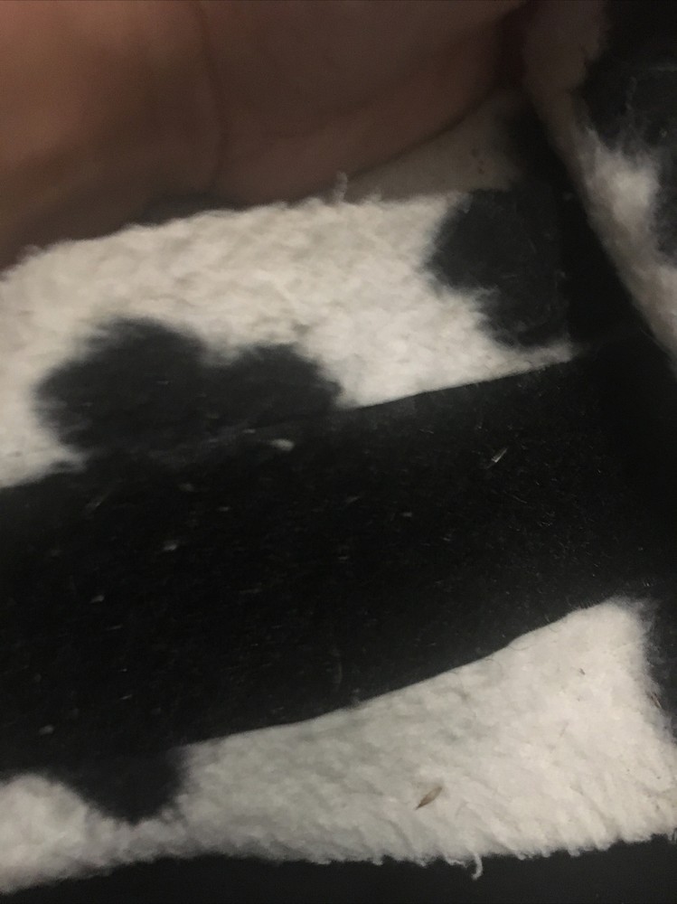 Cow Polos