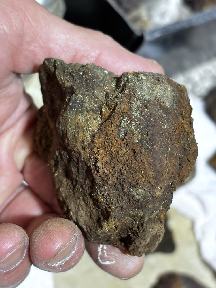 rich az silver and gold ore