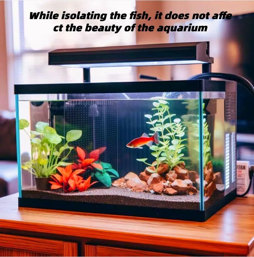 ONE Set Clear Fish Tank Divider Board Include Suction Cups DIY Designed Easy ...