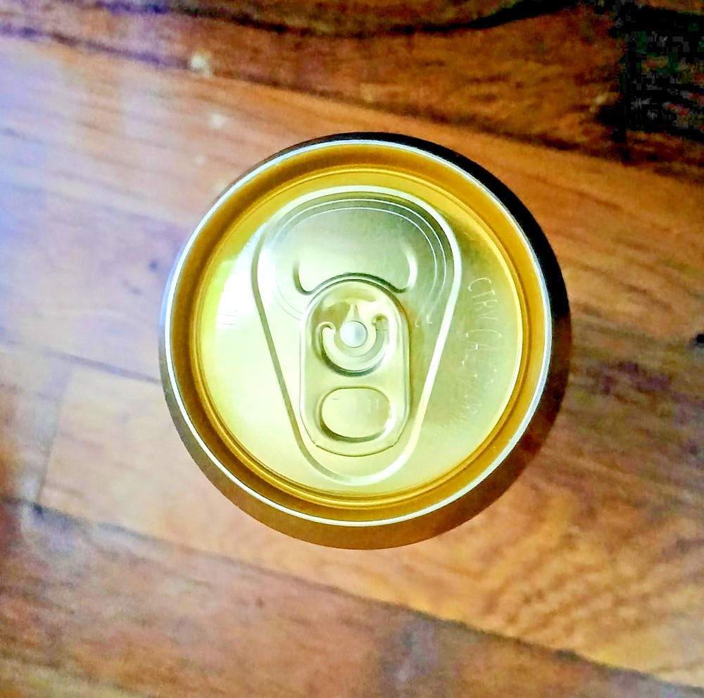 (1) Full Tall Can: LIQUID DEATH ~ BERRY IT ALIVE