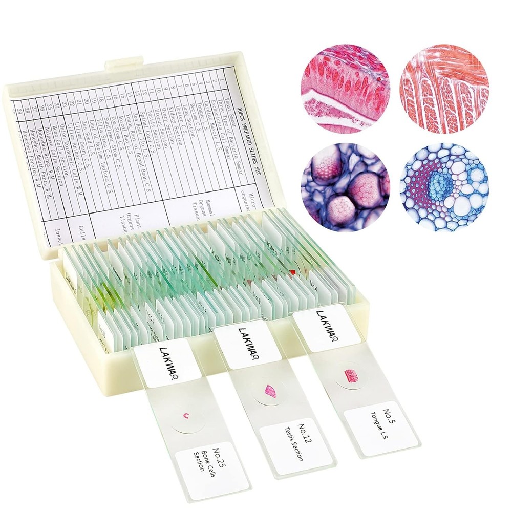 30-Piece Microscope Slide Set – Science Kits for Young Explorers and Hobbyists