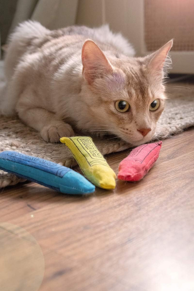 Catnip Crayon, 3 Count