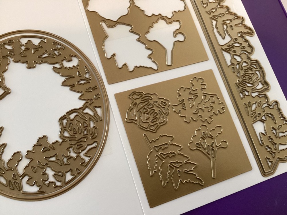 Anna Griffin Wildflower 3D Folder With Dies RARE