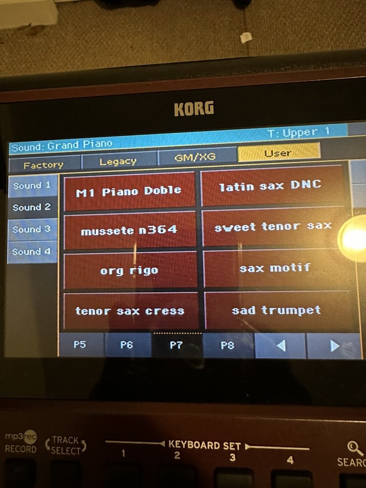 Samples Profesionales Para korg Pa 700,1000,4X. En Una USB (171 samples )