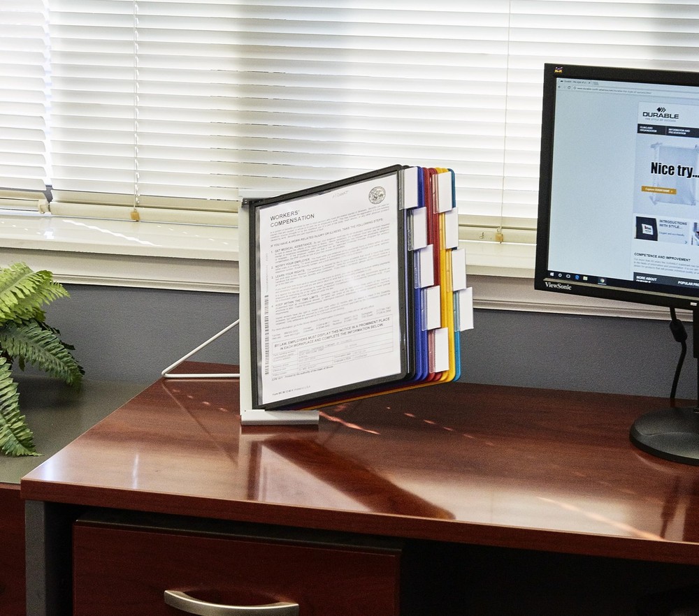 Durable Instaview20 Pocket Expandable 10 Double-Sided Panels, Assorted