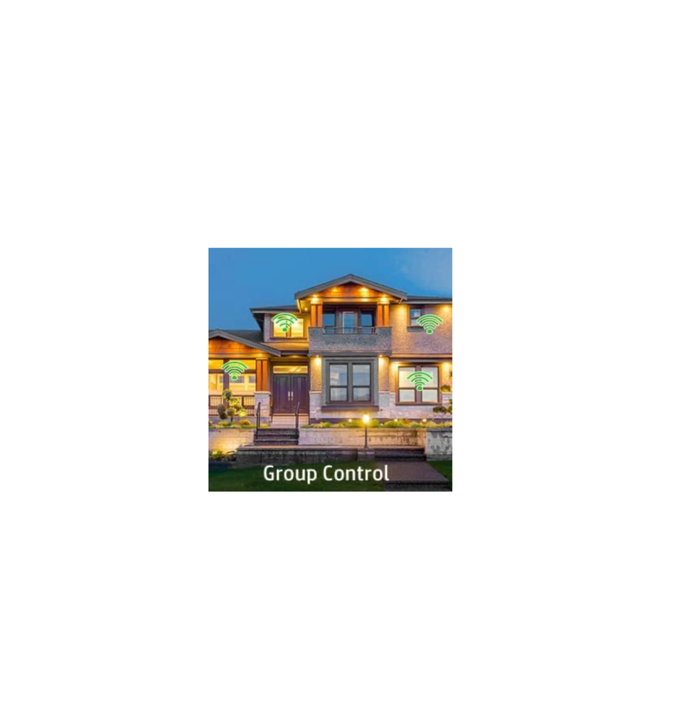 Smart Switch Voice App & Remote Control, Google&Alexa Switch Single-Pole Rocker