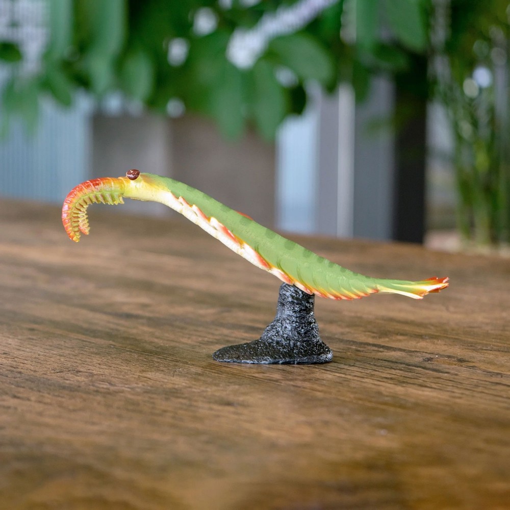 Anomalocaris Soft Model Figure Cambrian Creatures Favorite New