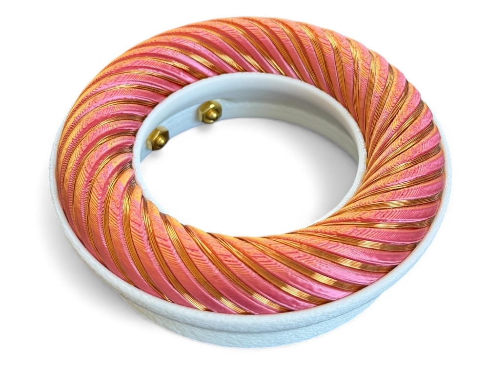 Rodin coil Scalar Wave toroidal field generator module