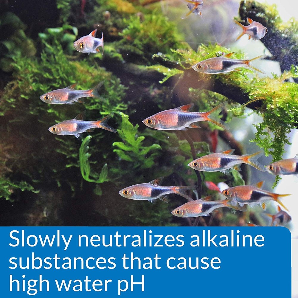API pH Down Aquarium pH Treatment 4 Ounces - 4 Pack