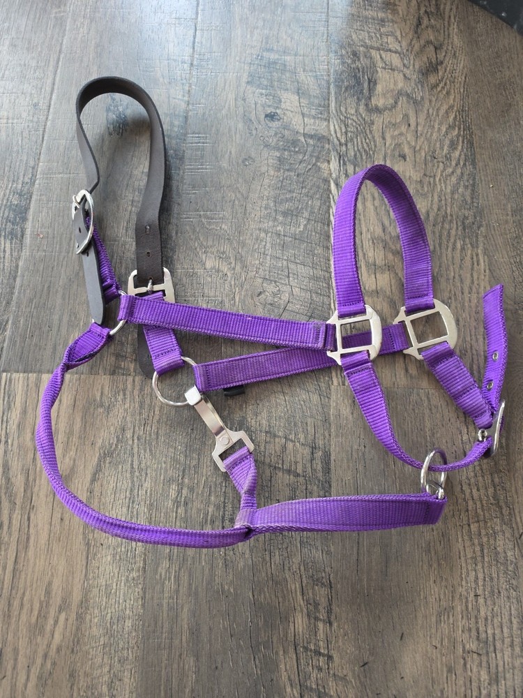 Horse Halter