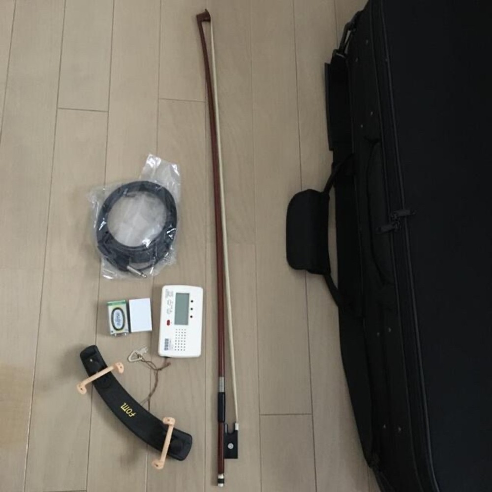 electric violin