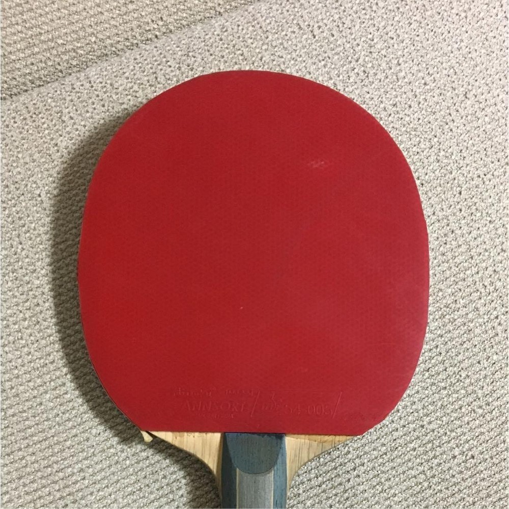 Table Racket Nittaku Sanalion-S