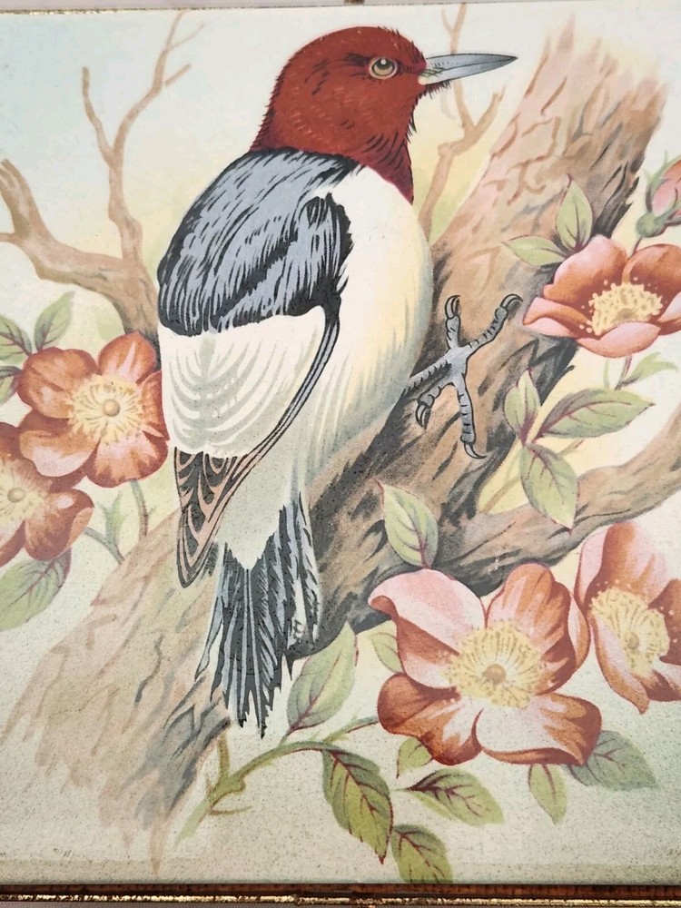 Vintage Painted Bird Tile Trivet