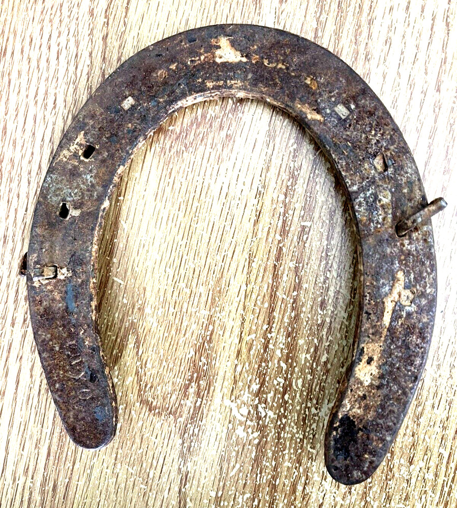 Rusty Horseshoe W/Nails Art Decor Rustic Western Weld