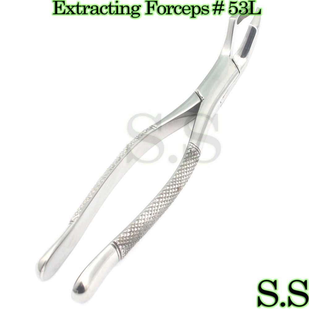 Extracting Forceps Dental Surgical Instruments # 53r
