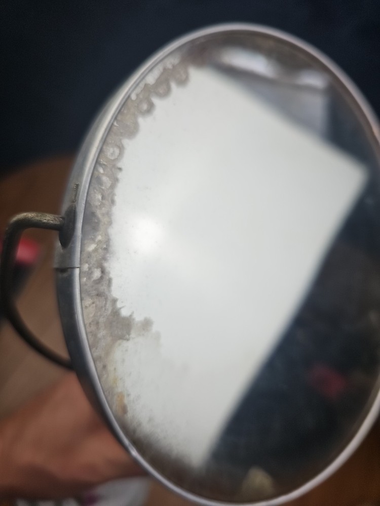 Vintage Rose Vanity Mirror Double Sided