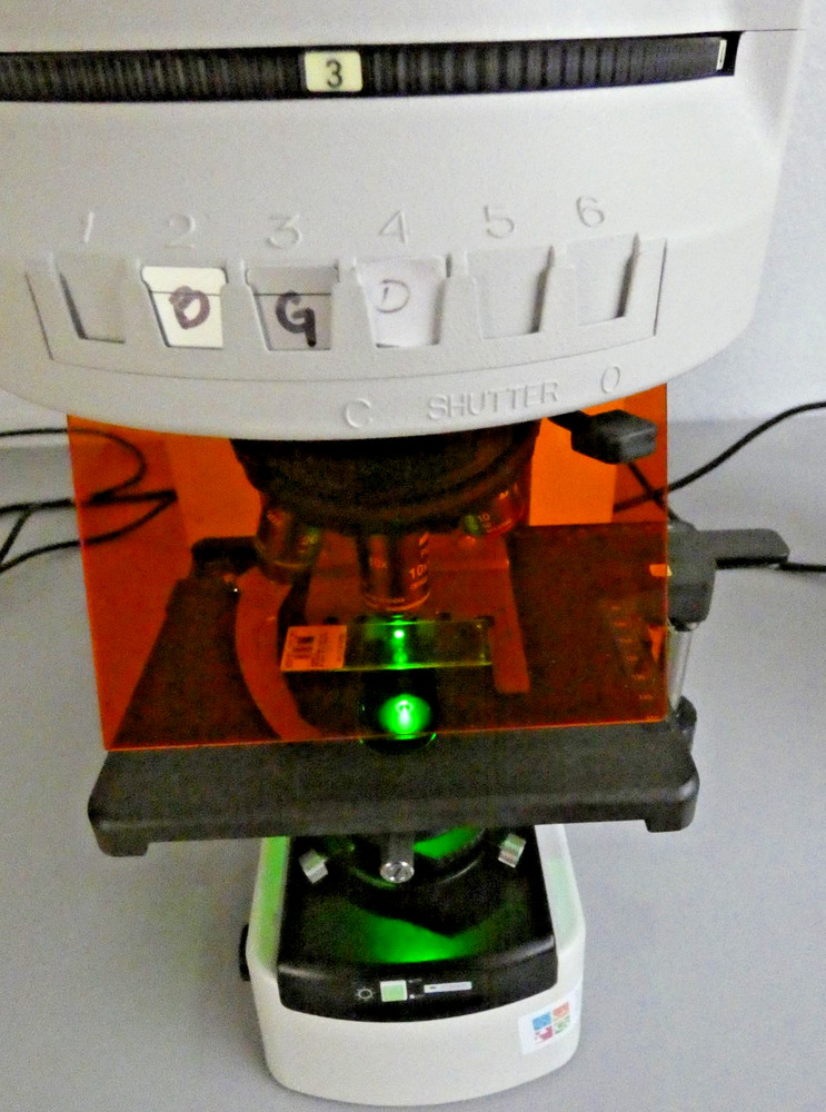 Nikon Eclipse 80i Microscope. Epi-Illumination Attachment + Intensilight C-HGFI