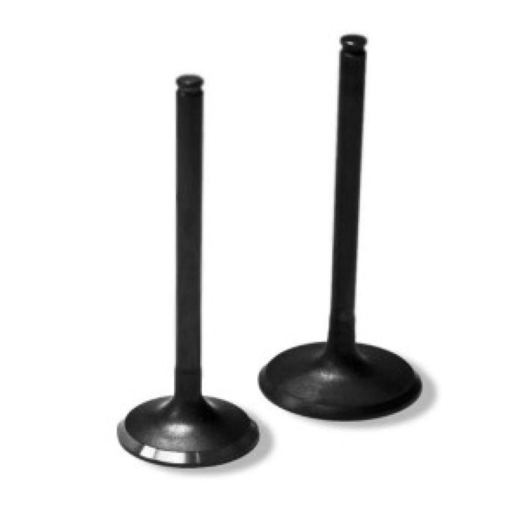 Bronco Intake Valve AU-09234I