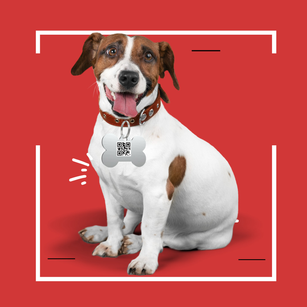 QR for pet identification