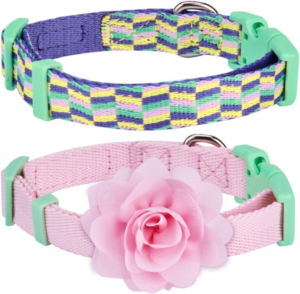 Blueberry Pet Pack of 2 Multiple Patterns Mix and Match Pretty Picks Adjustable