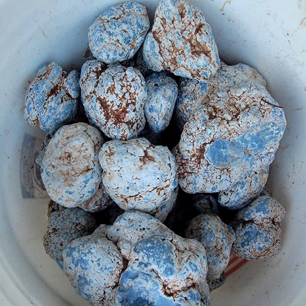 Random Pull Peruvian Angelite Cutting Rough Specimens! Lapidary Stone Material!