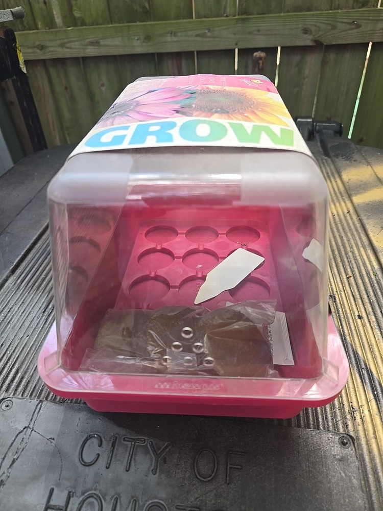 Buzzy ~ Sunflower & Coneflower Growing Kit