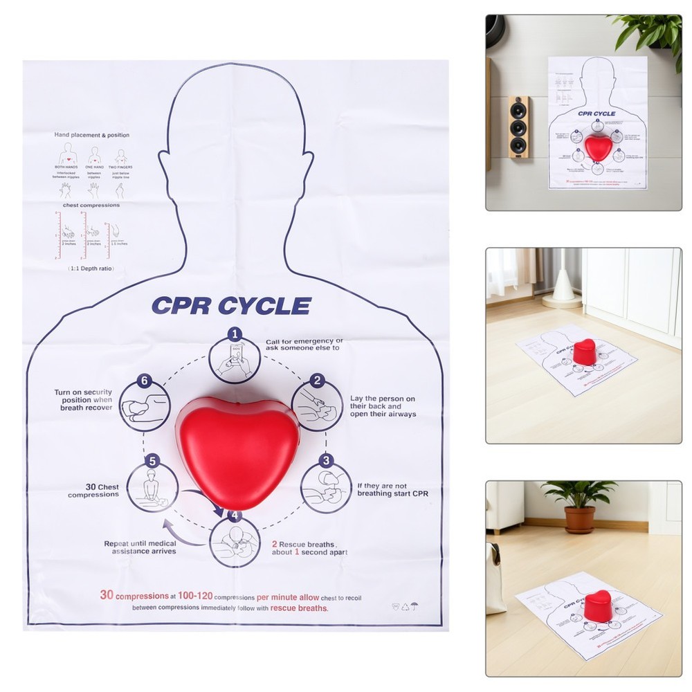Cardiac Training Model Cpr Practice Tool for Students