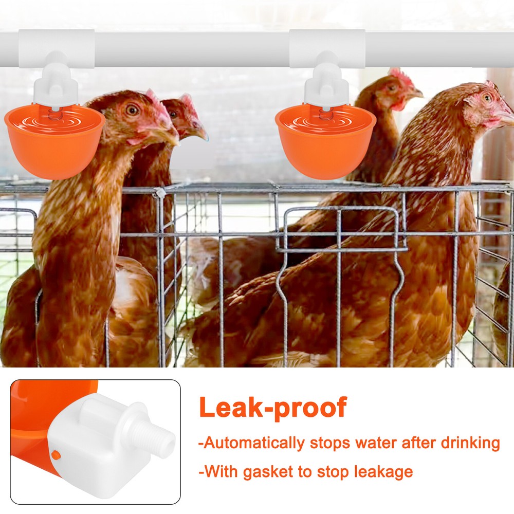 5 PCS Automatic Water Cups Poultry Drinker Waterer Chicken Ducks Quail Drinking