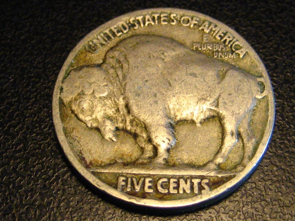1919-P Buffalo Nickel