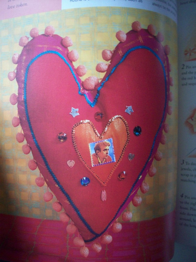 Pretty Pillows 40 projects for the home