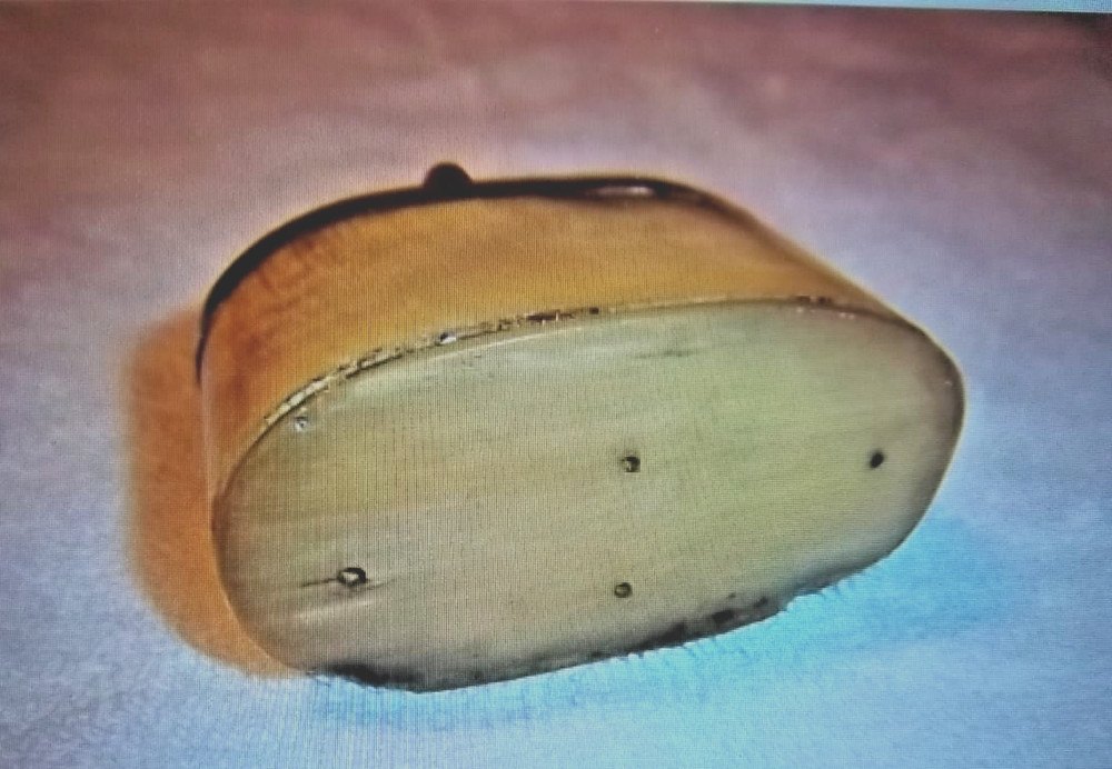 Unique Vintage Muzzleloader Cow Horn Box / Black Powder/Powder Storage