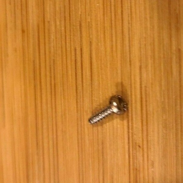 Nintendo Game & Watch Original Long Outer Case Screw OEM Part Fits All Models