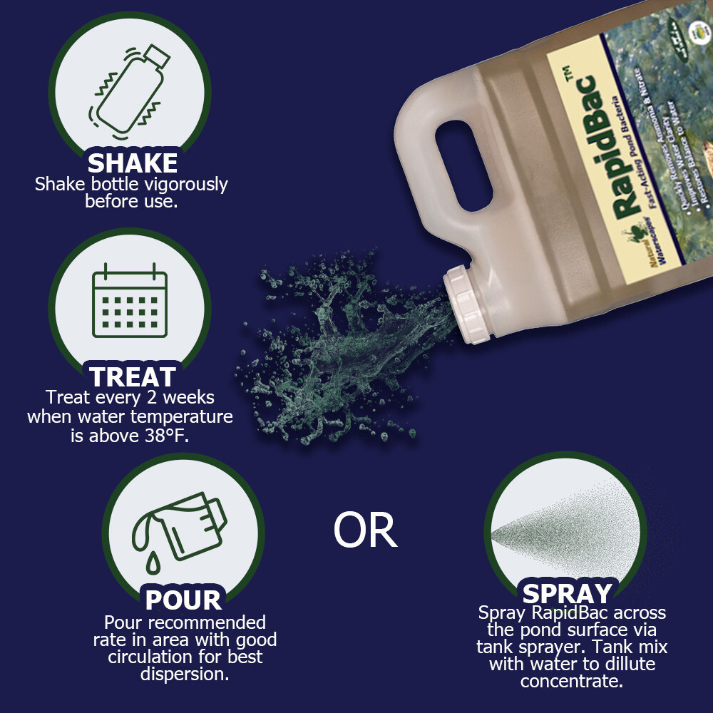 RapidBac Pond Bacteria 1 gal
