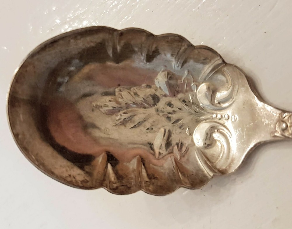 Oneida Community One Shell Sugar Spoon Silver Plate Scroll Handle O.C.A1 retired