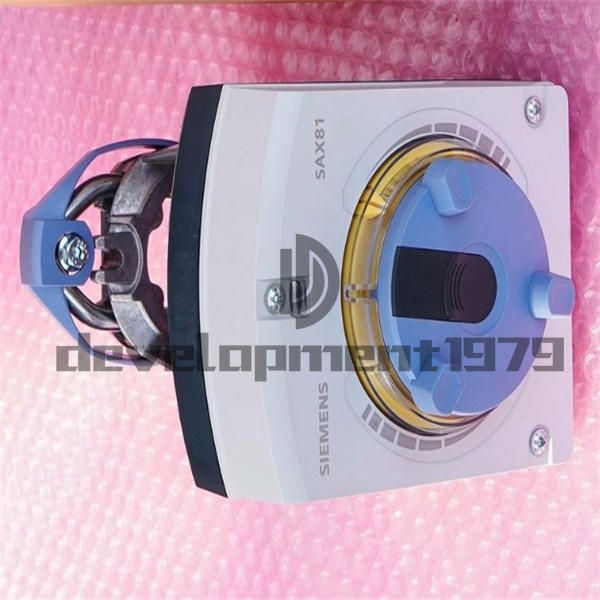 A New Siemens Temperature Sensor SAX81.00