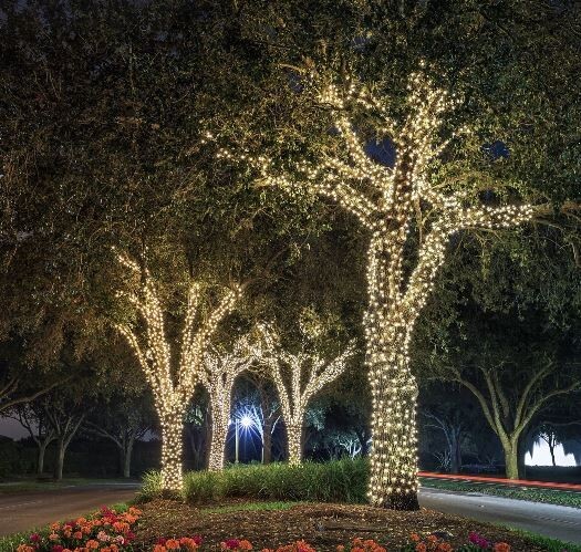 100 LED Solar String Lights 40FT Warm White 8 Modes Auto On/Off Xmas Decorations