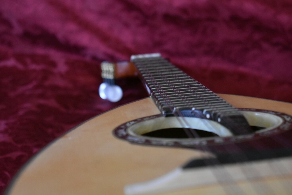 German style mandolin. UNIQUE! 德国风格的曼陀林。独特！ 。