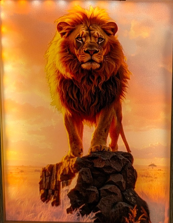Lion USB LED Night Light Lamp Framed Wall Decor Before After Light Effect 8"x6"