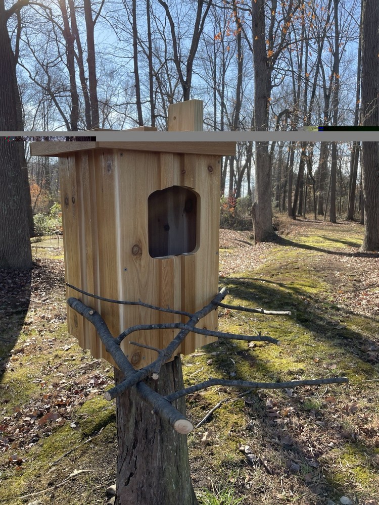 Cedar Barred Owl Nest Box Unfinished