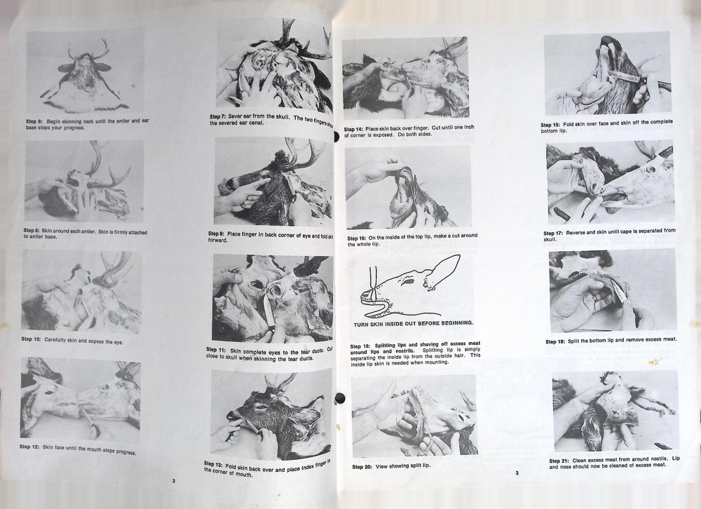 1983 Authentic Taxidermy Systems Deerhead Mounting Kit Instructions Guide