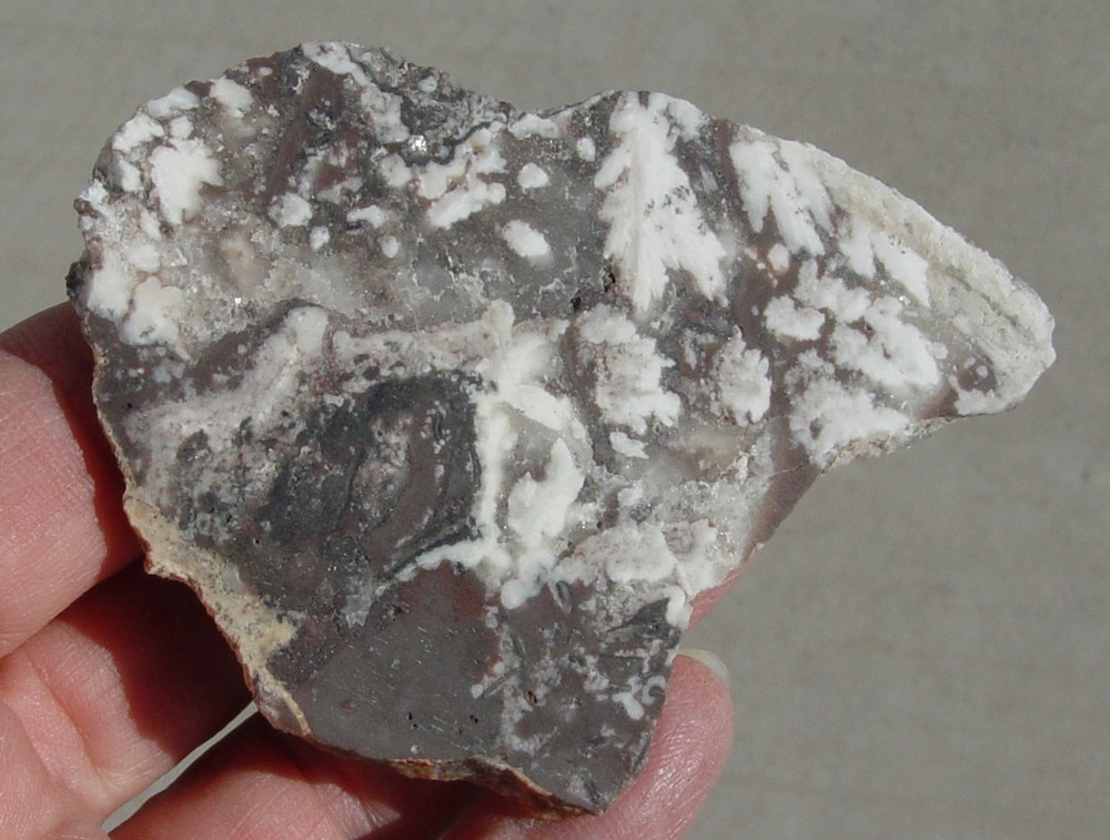 Snow Plume Agate Lapidary Slab T1405