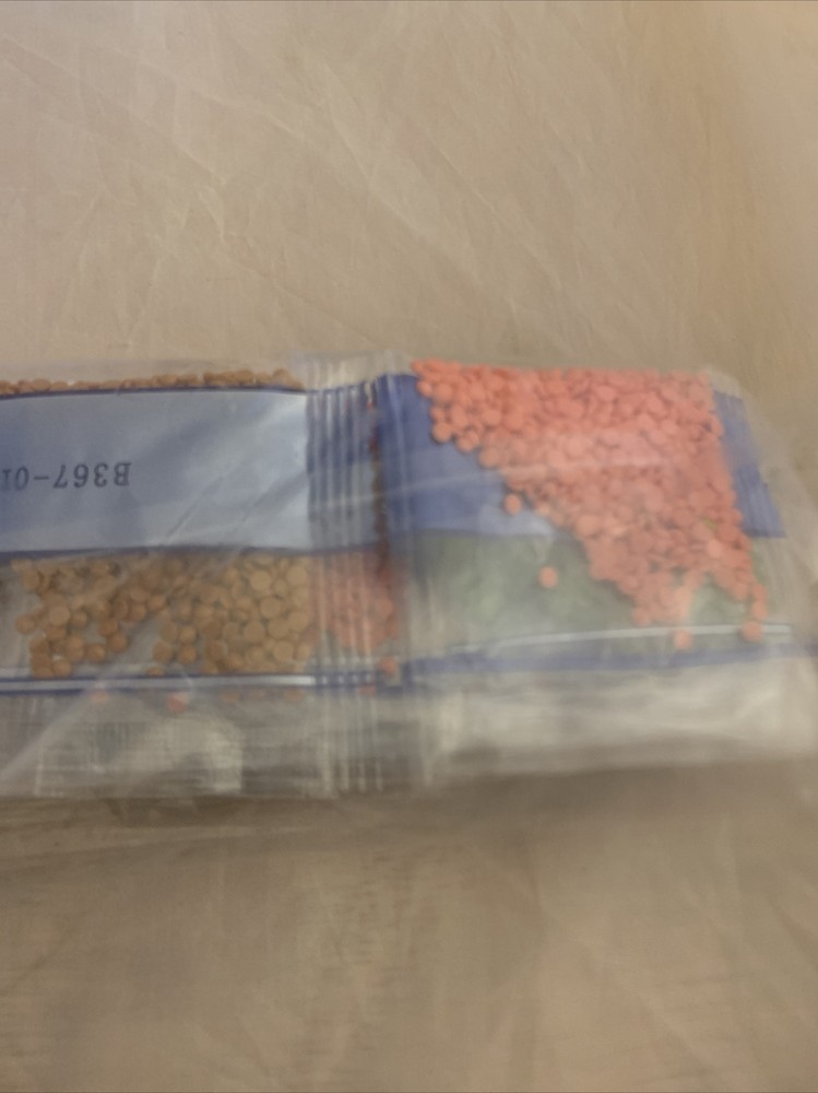 25 CT. Crafting Pebbles: Multiple Colors (NEW)