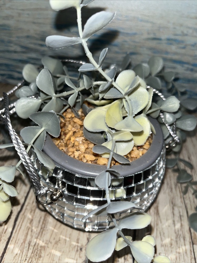 Disco Ball Hanging Plant 24”