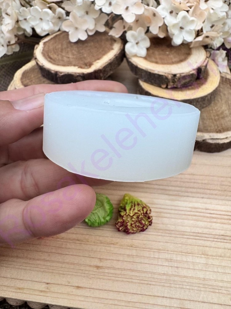 Vegetables handmade silicone mold for crafts