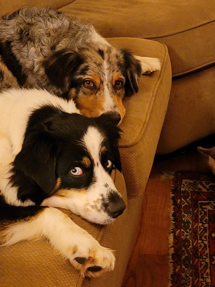 Open Box - A5K-02817 Microsoft SQL Server 2008 R2 Workgroup 5 CAL