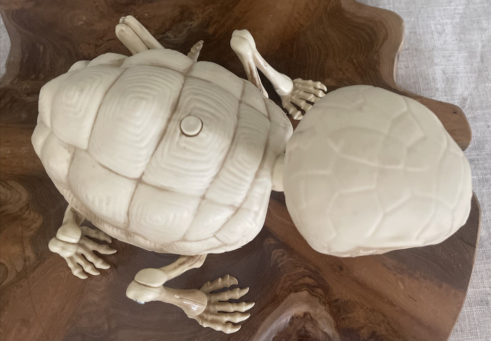 Pac Halloween Animated Turtle Skeleton Eyes light up & Crawling