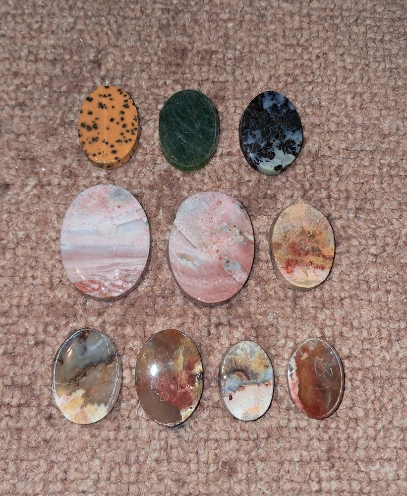 Cabochon Preforms 10 Piece Agate, Jasper Etc...