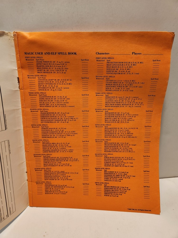 Dungeons & Dragons Player Character Record Sheets AC6 Plus Extra Loose Sheets