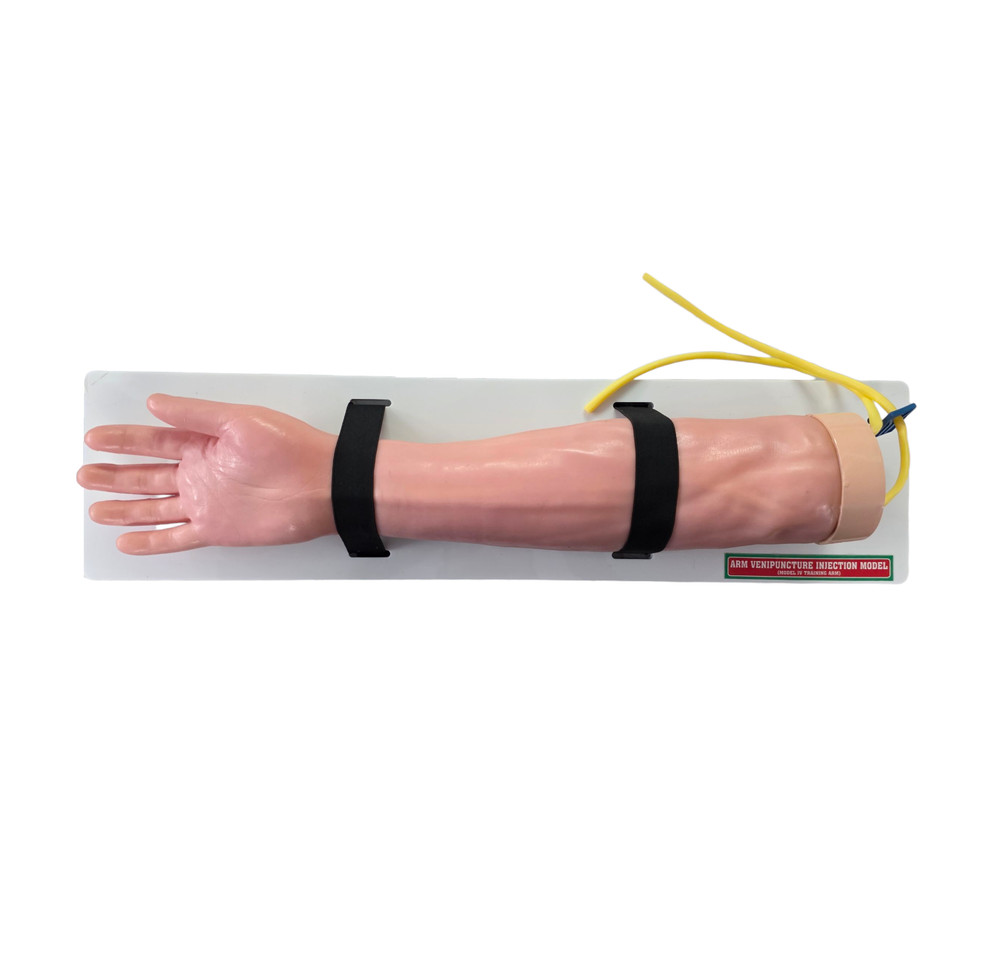 Arm Venipuncture Injection Training Model with Bag